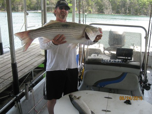 Nice Striped Bass